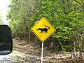 Ein Nasenbär-Warnschild in Guatemala