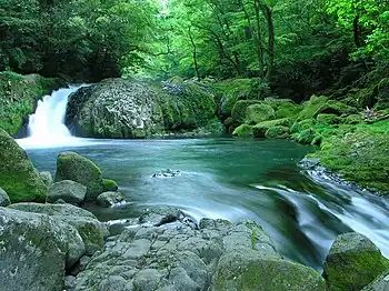 Hyōnosen-Ushiroyama-Nagisan-Quasi-Nationalpark