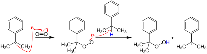 Cumolhydroperoxid-Verfahren Kettenfortpflanzung