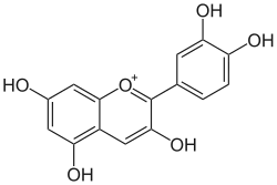 Cyanidin (farbiges Flavylium-Kation)