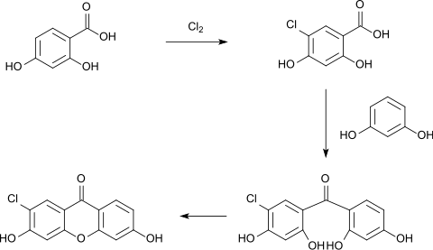 Cyclisation Resorcinol 5-Chloro-2,4-Dihydroxybenzoic acid