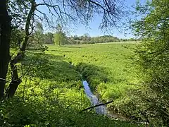 Dörpebachtal bei Niederdorp