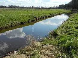 Strukturarmer Abschnitt des Dünsener Bachs in der Steller Heide