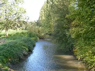 Düssel am Ausgang des Neandertals