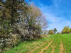 Der Burgenweg (8) bei Eckartsbrunn