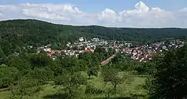 Blick auf Lorsbach vom Turm am Ringwall