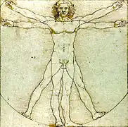 Leonardo da Vinci Der vitruvianische Mensch 1492