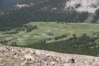 Blick auf die Tioga Pass-Straße