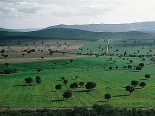 Cabañeros, Kastilien-La Mancha