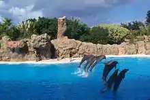 Loro Parque, Spanien