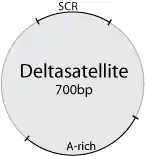 …und von Delta­satellite