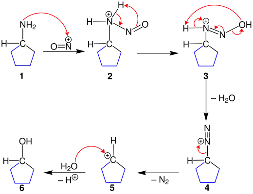 Reaktionsmechanismus der Ringverkleinerung der Demjanov-Umlagerung, a