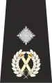 UK Police Deputy Chief Constable Epaulette