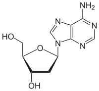 Desoxyadenosin