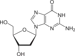 Desoxyguanosin