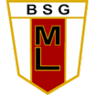 BSG Motor Lößnitz