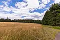 Blickrichtung Nord mit dem Fernmeldeturm Höllberg (Nördlicher Bereich)