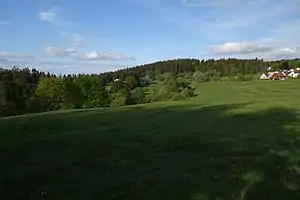 Dillenberg über den Häusern der Siegfriedsiedlung am östlichen Ortsrand Oberreifenbergs.