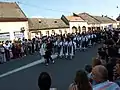 Folklorefest Đakovački vezovi