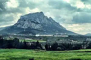 Weinfelder bei Mornag mit Djebel Ressas