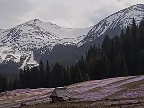 Blick von der Alm Kalatówki