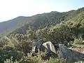 Ansicht des Dolmens, Blickrichtung nach Westen zum Puig de Querroig