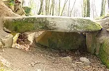 Dolmen du Pouey Mayou