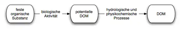 Entstehung der gelösten organischen Substanz