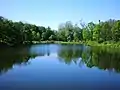 Stausee Dotnuvėlė im Zentralpark Kėdainiai