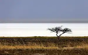 Etosha-Pfanne