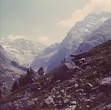 Düssistock; im Talhintergrund ist die Zungenspitze des Hüfigletschers zu erkennen (aufgenommen vom Eingang zum Brunnital, 1971)