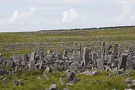 Die Barrieren des Cheval de Frise