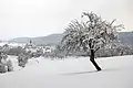 Egenhausen im Winter