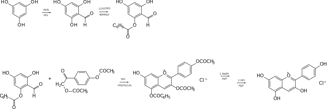 Eine Synthese von Pelargonidin