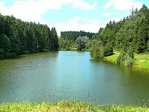 Eisenbachsee von der Staumauer aus gesehen