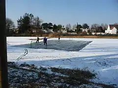 Eisweiher bei Neuhofen (Februar 2012)