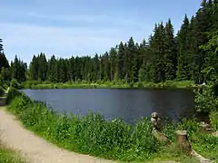 Eisweiher bei Titisee(Juni 2014)