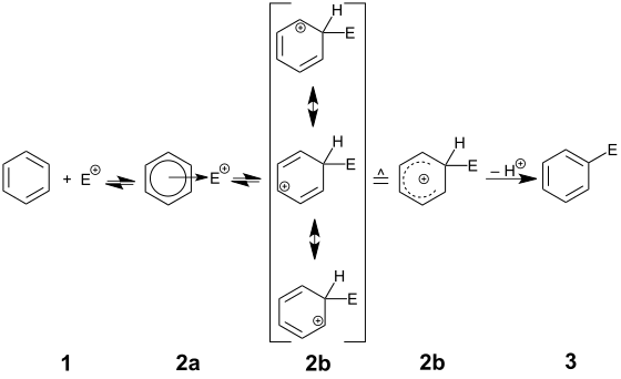 Reaktionsmechanismus einer elektrophilen aromatischen Substitution