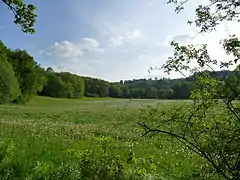 Elstertal bei Weischlitz