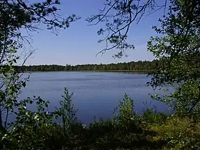 Männikjärve-See