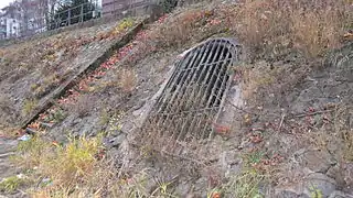 Die Mündung des Melbbaches in den Rhein