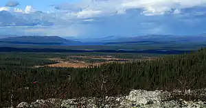 Der Nationalpark mit dem Femundsee im Hintergrund