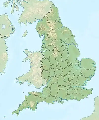 Megalosaurus (England)