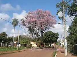 Im Barrio Rocío von Capiatá