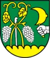 Wappen von Kašov