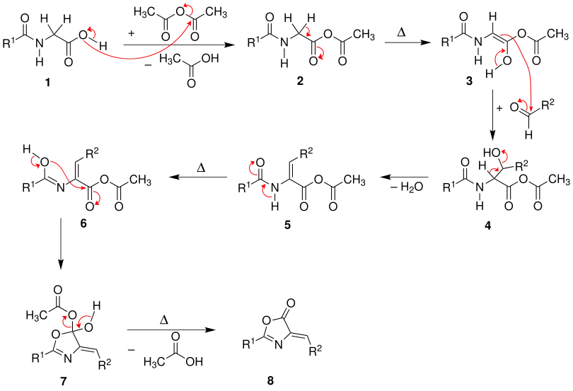 Mechanismus der Erlenmeyer-Reaktion