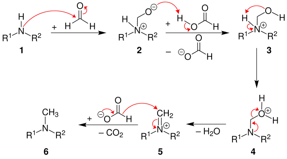 Mechanismus der Eschweiler-Clarke-Methylierung