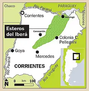 Esteros del Ibera