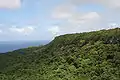 Weite Teile der  Ostseite von ʻEua gehören zum Eua National Park. Foto mit Blick nach Süden, von einer Plattform am Rande des Parks aus.