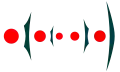 Fächel, schematisch von oben